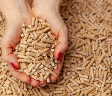 granulés de bois